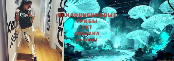 крисы Алексеевка