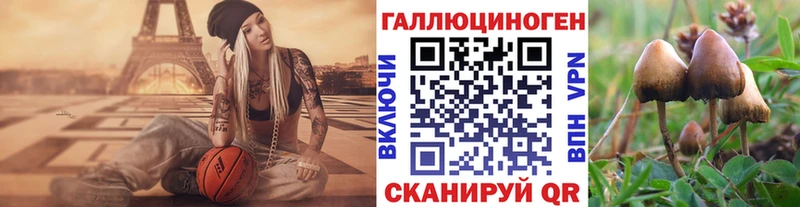 сколько стоит  hydra   Псилоцибиновые грибы Psilocybe  Асбест 
