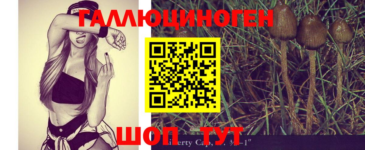 Галлюциногенные грибы GOLDEN TEACHER  Вход с VPN  Асбест 